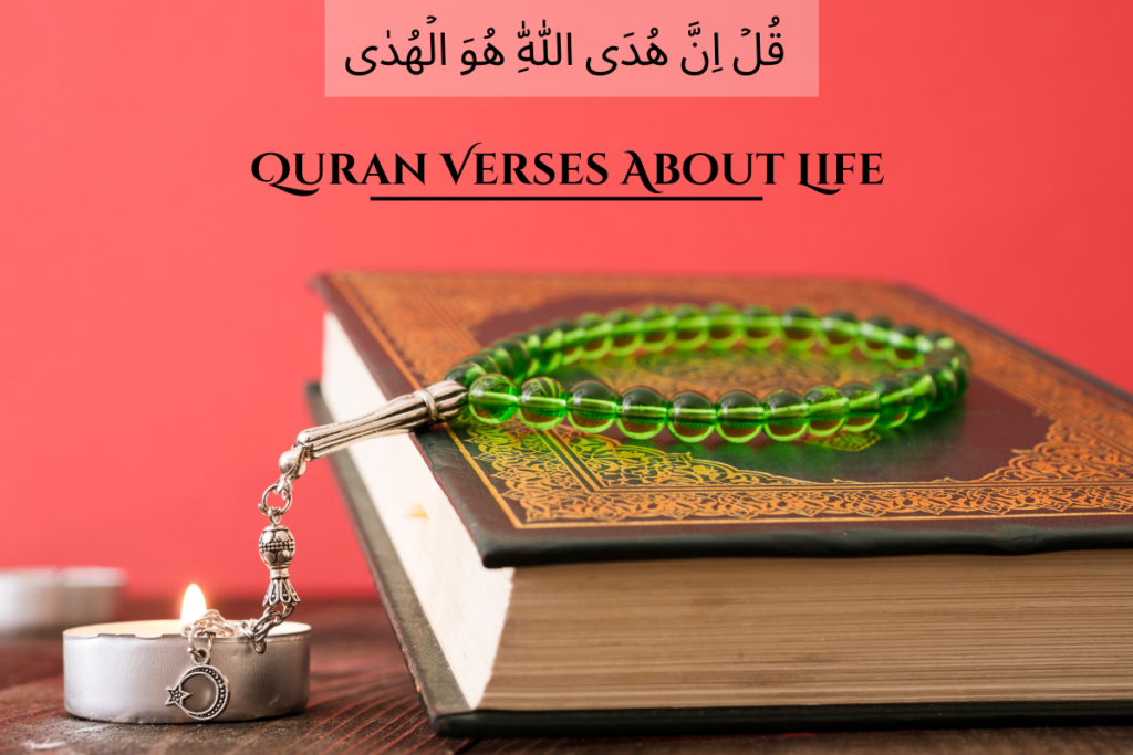 Quran Verses About Life